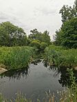 IMG_20240613_163853