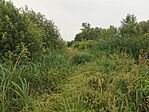 IMG_20240613_170033
