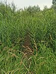 IMG_20240613_170821