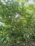 IMG_20240603_190942