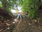 IMG_20240602_155224