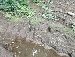 IMG_20240602_155448