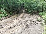 IMG_20240602_162252