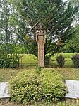 IMG_20240528_173528