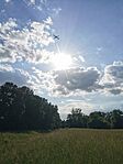IMG_20240527_171815