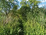 IMG_20240527_172510