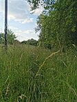 IMG_20240527_180251
