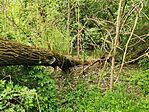 IMG_20220507_090254