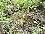 IMG_20220507_090752