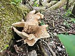 IMG_20220507_091053