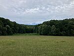 IMG_4631