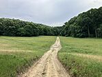IMG_4633