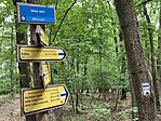 IMG_4638
