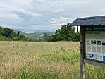 IMG_4641