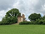 IMG_4652