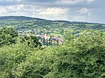 IMG_4679