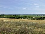 IMG_4727