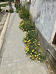 IMG_4733