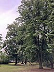 IMG_4740