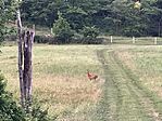 IMG_4746
