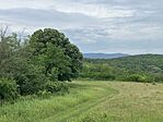 IMG_4749