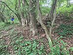 IMG_4757