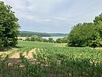 IMG_4768