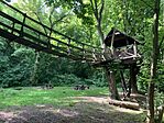 IMG_4772