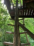 IMG_4773
