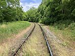 IMG_4805
