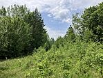 IMG_4947