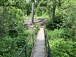 IMG_4951