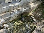 IMG_4955