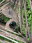 IMG_5005