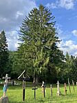 IMG_5027