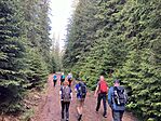 IMG_5137