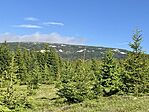 IMG_5139