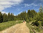 IMG_5143