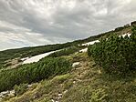 IMG_5154