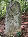 IMG_5216