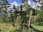 IMG_5220