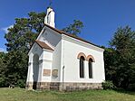 IMG_5223
