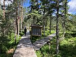 IMG_5247