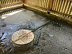 IMG_5251