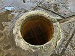 IMG_5254