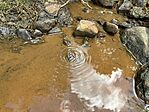 IMG_5256