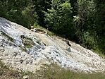 IMG_5263