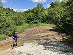 IMG_5265