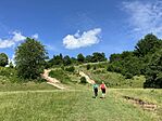 IMG_5296
