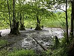 IMG_5301